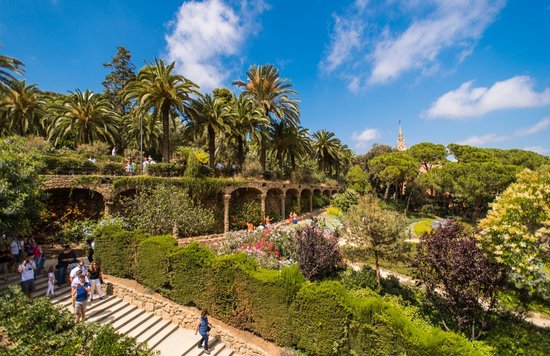 Colorful gardens and scenic paths inside Park Güell