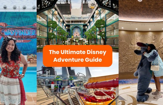 IN- DCL Ultimate Guide