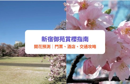 東京 新宿御苑 東京新宿御苑 東京櫻花 新宿御苑櫻花 東京賞櫻 新宿御苑賞櫻 東京櫻花2025 新宿御苑櫻花2025 東京賞櫻2025 新宿御苑賞櫻2025