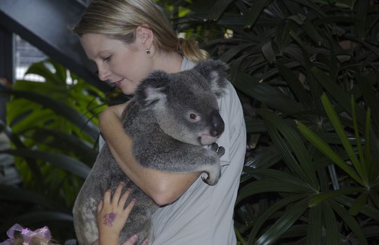 A female zookeeper hugging a koala