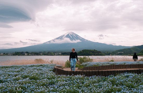 Woman surrounded by flowers with Mount Fuji in the background at Hakone
