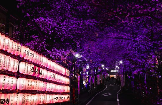 Tokyo
