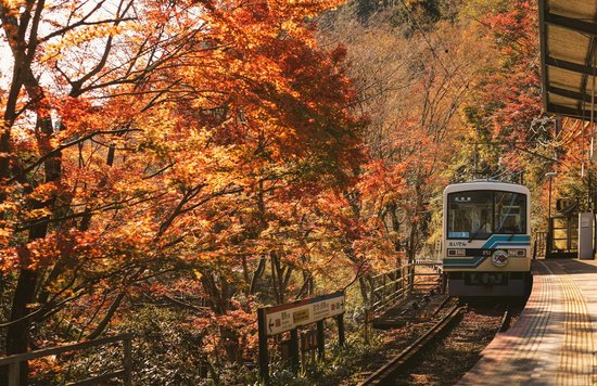 Getting Around Kyoto