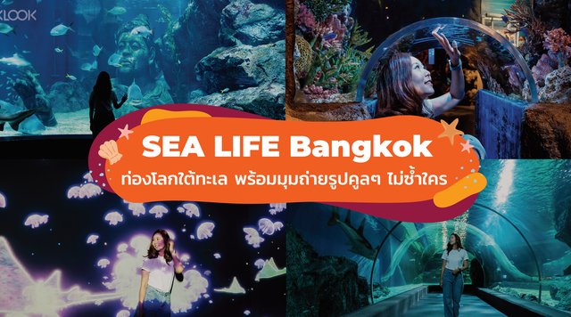 ผจญภัยท่องโลกใต้ทะเลพร้อมชี้เป้าจุดถ่ายรูปสุดปังใน SEA LIFE Bangkok Ocean World