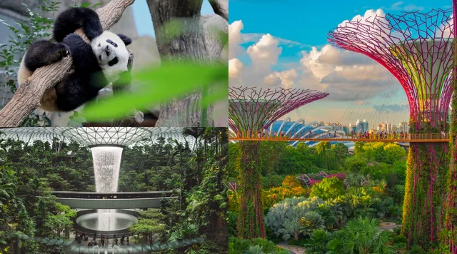 35 Tempat Wisata di Singapura yang Wajib Kamu Kunjungi!