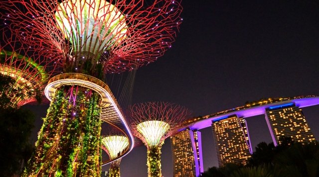 ガーデンズバイザベイのチケット購入ガイド！一番お得な買い方・予約方法・種類を徹底比較