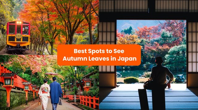 32 Best Places To See Autumn Leaves in Japan 2025