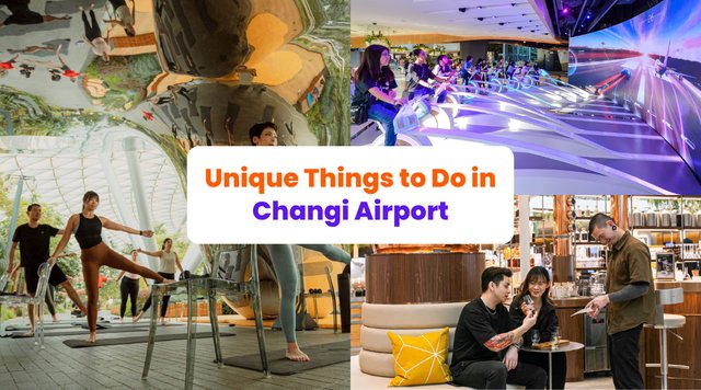 Unique Things to Do in Singapore's Changi Airport During Your Transit