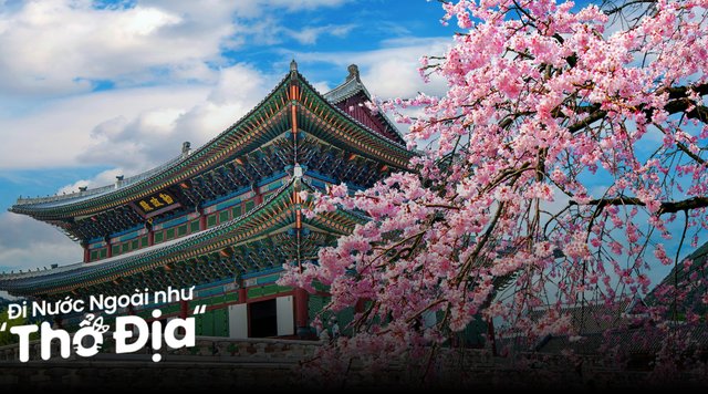 Cẩm Nang Du Lịch Hàn Quốc Mùa Xuân Bạn Cần Biết