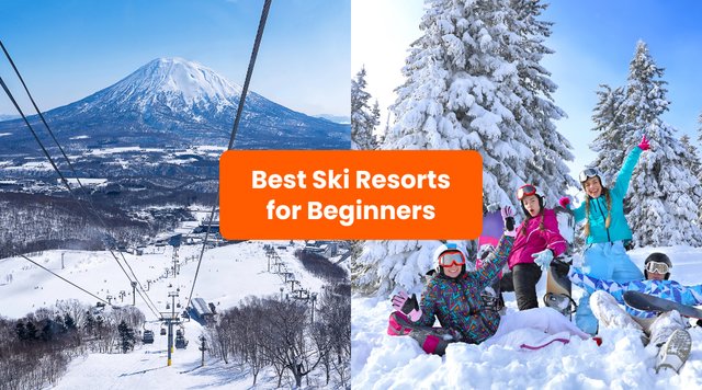 Japan's Best Ski Resorts For Beginners