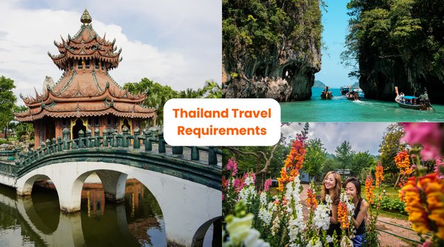 Thailand Entry Requirements for Singaporeans: How to Submit the Digital Arrival Card Before Entry