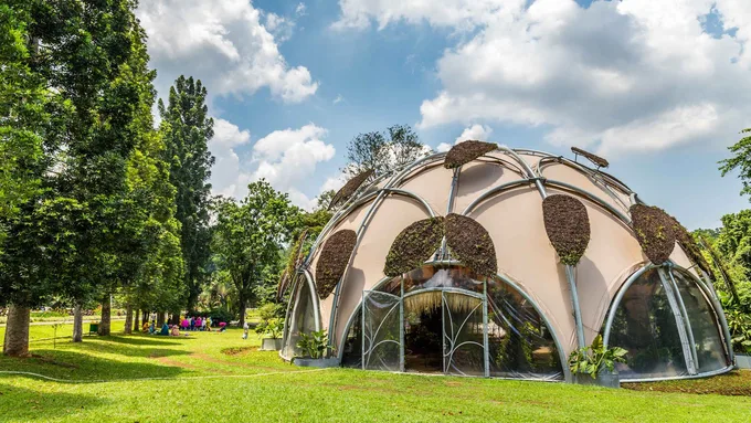 Kebun Raya Bogor - Tempat Wisata di Bogor