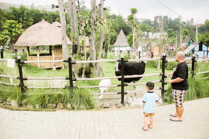 Lembang Park and Zoo - Tempat Wisata di Bandung