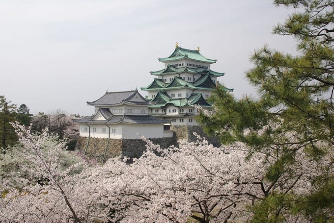 2020日本櫻花前線 日本賞櫻24景點交通 花期資訊懶人包 klook部落格