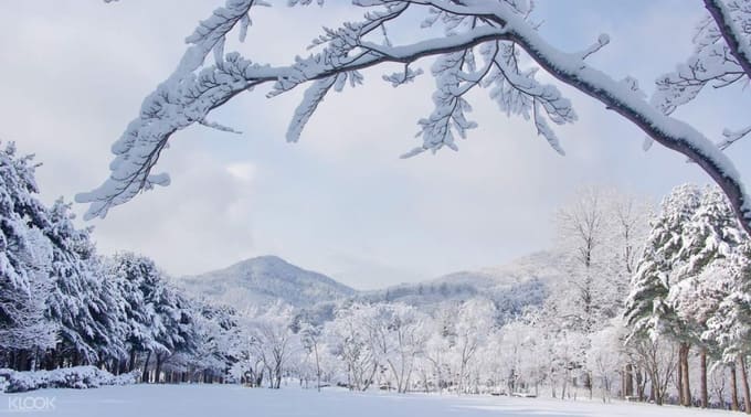 韓國賞雪 10大必去韓國雪景懶人包 Klook部落格 韓國賞雪 10大必去韓國雪景懶人包 Klook部落格