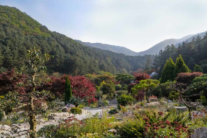 garden of morning calm tại hàn quốc