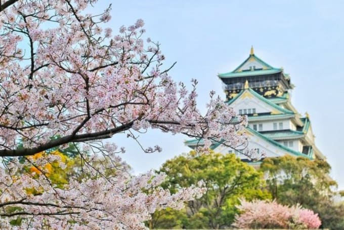 Lokasi Paling Tepat Untuk Melihat Bunga Sakura Di Jepang 2019 Klook Blog