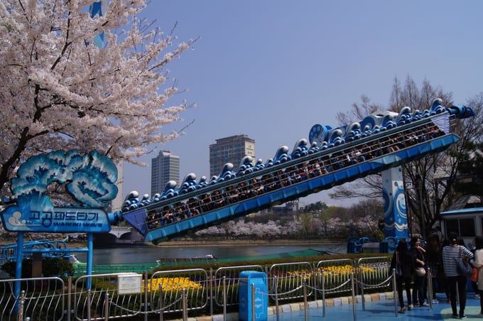 Lokasi Terbaik Untuk Melihat Bunga Sakura Di Korea Selatan 2019 Klook Blog