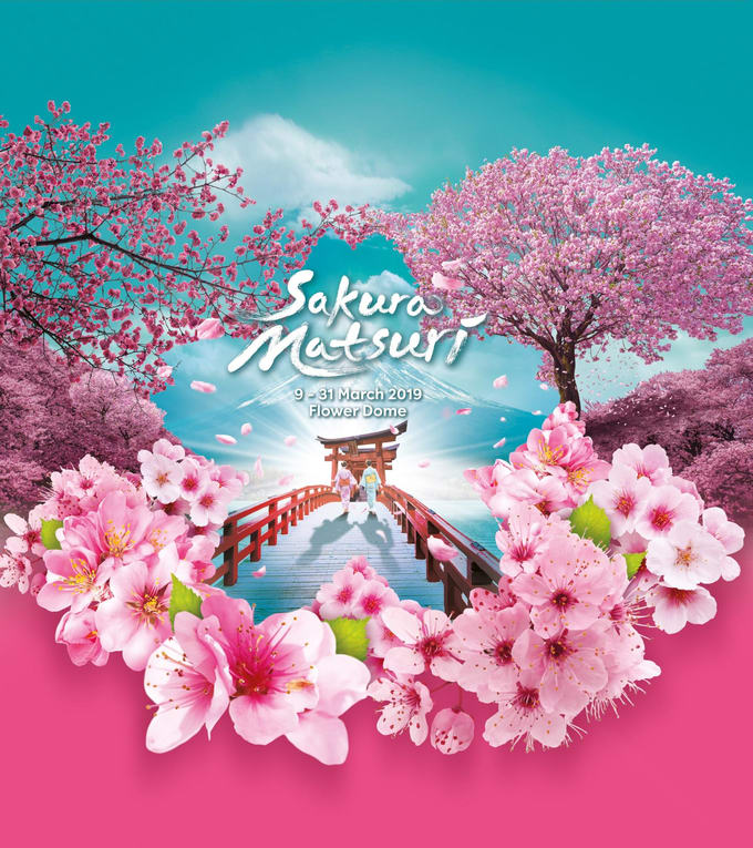 Missing Cherry Blossoms In Japan Catch Them In Singapore Till End March At Sakura Matsuri Klook Travel Blog