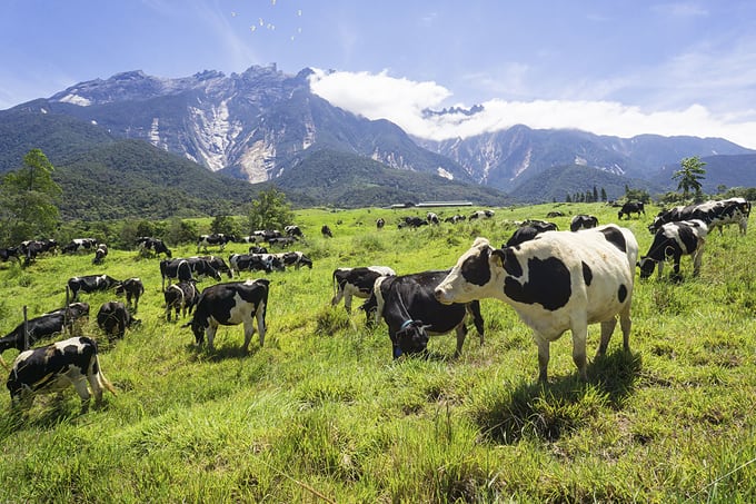 12 Family Holiday Destinations In Malaysia For All Types ...