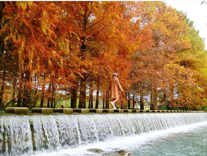Leaf Your Worries Behind With These Autumn Sightseeing Spots In Taiwan