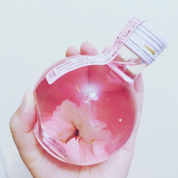 11 Produk Spesial Bunga Sakura di Jepang (Limited Edition ...