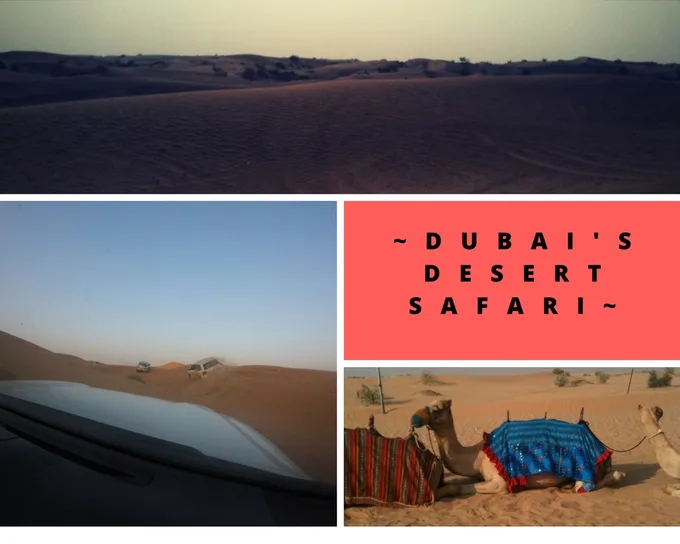 Dubai Desert Safari