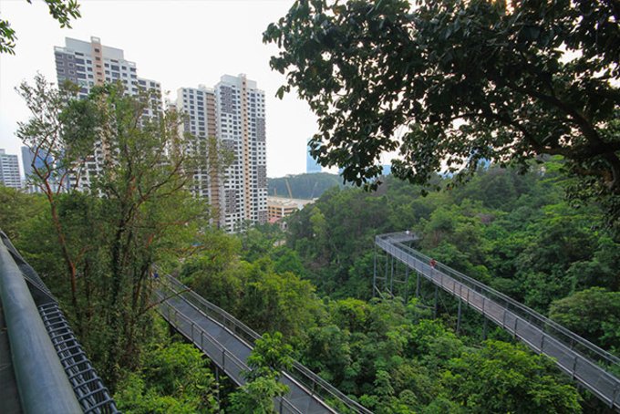 20 Nature Parks & Nature Reserves To Visit In Singapore For A Scenic ...