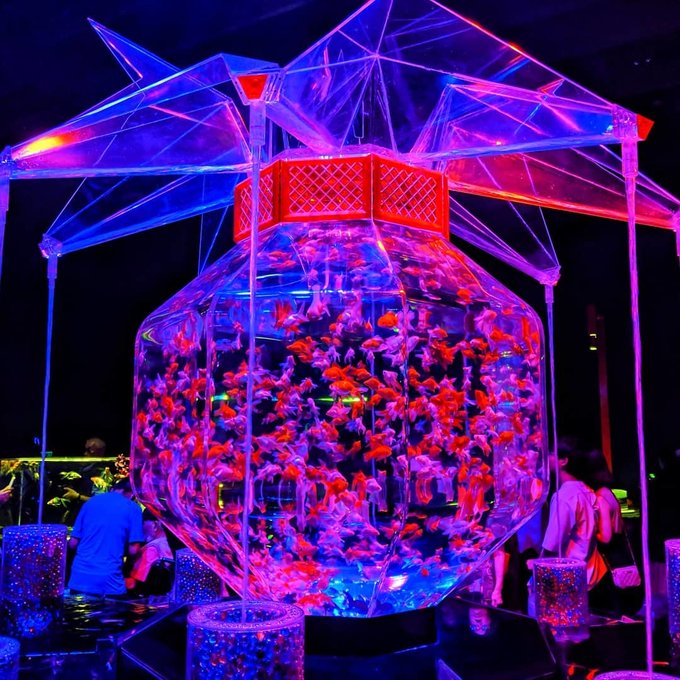 living art aquarium hours living art aquarium hours