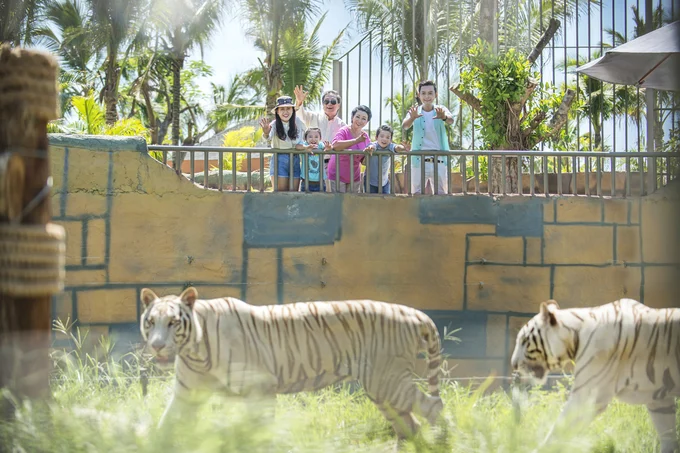 kinh-nghiem-du-lich-Vinpearl-Land-Nha-Trang