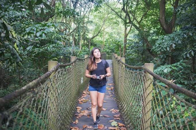 Hiking In Singapore Gorgeous Hiking Trails Among Nature To Escape From The City Klook Travel 