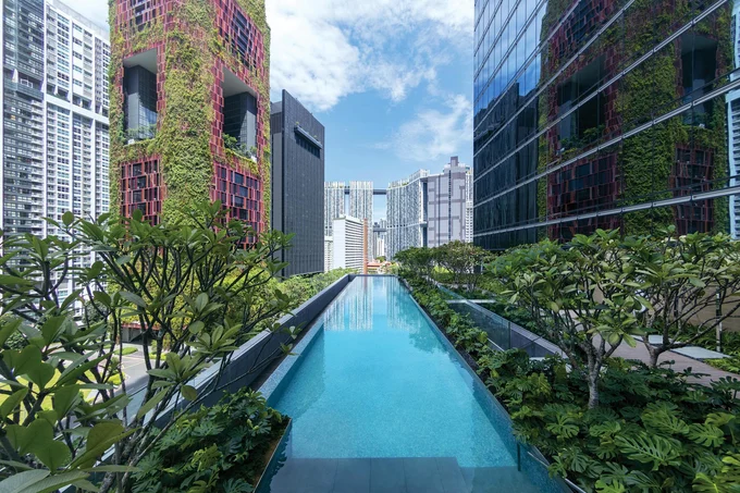 Sofitel Singapore City Centre Infinity Swimming Pool