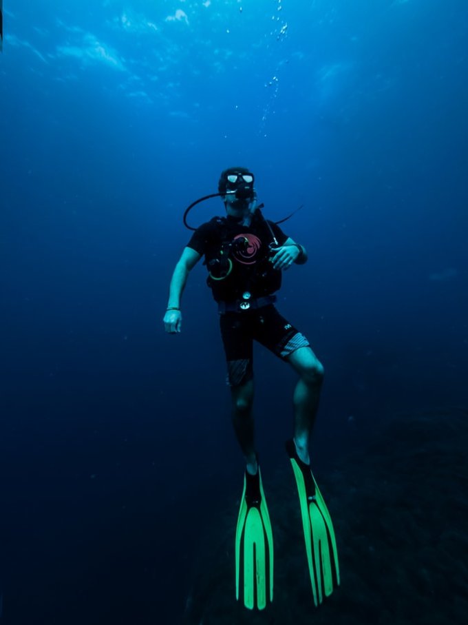 Complete Guide To Getting A PADI Diving License Price, Best Packages, Diving Spots, & More
