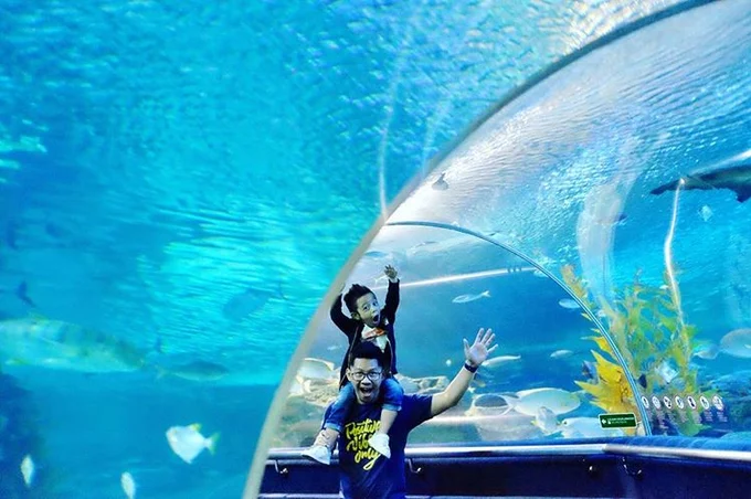 aquaria klcc tunnel