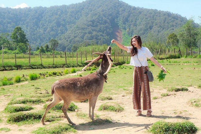 Kampung Cai Ranca Upas - @ayuseptiputri on Instagram