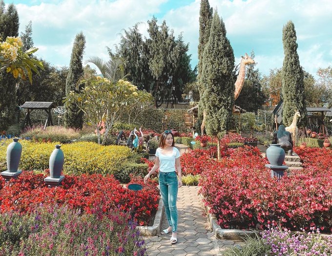 Taman Bunga Begonia Lembang