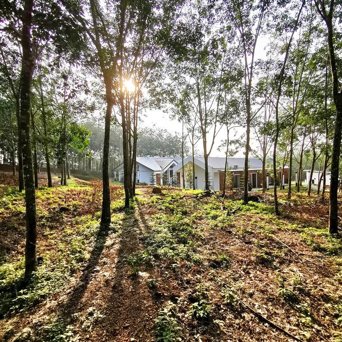 Laid-Back Nature Getaways Within Hours From Kuala Lumpur Klook