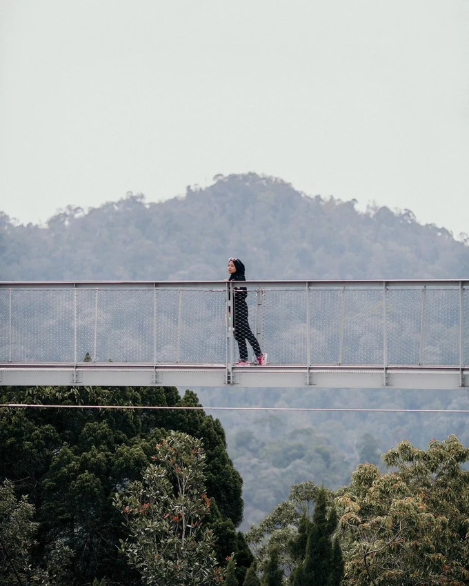 penang hill the habitat