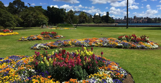 The 10 Best Picnic Spots in Sydney with a View - Klook Travel Blog