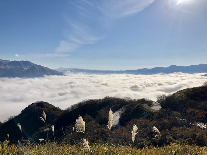 熊本景點21 熊本10大隱世ig打卡景點在地人推介 Klook旅遊網誌