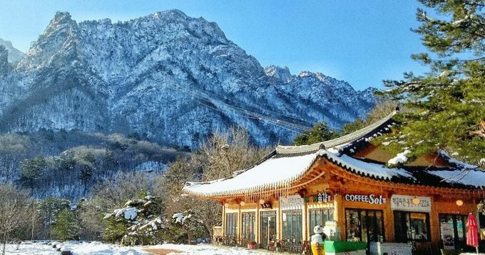 ปักหมุดรอไว้เลย! พาทัวร์ดินแดนหิมะที่คังวอน จังหวัดสุด Unseen ของเกาหลีที่ต้องไปให้ได้สักครั้ง  - Klook Blog