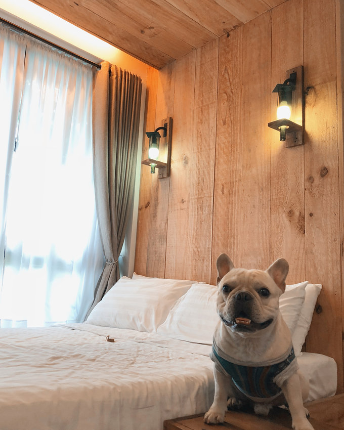 Pet Friendly Beach Resorts Near Manila