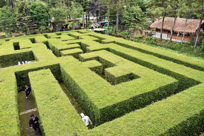 Taman Labirin Coban Rondo Batu - Tempat Wisata di Malang