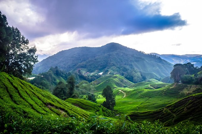 ESCAPE Cameron Highlands: A New European-Style Theme Park Scheduled To ...