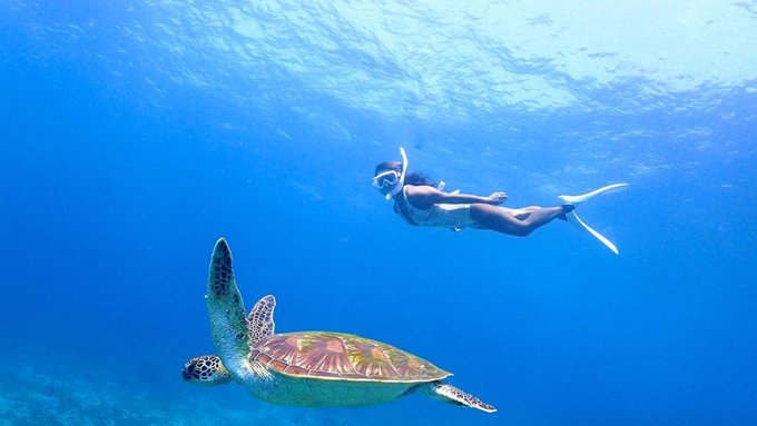 10 Amazing Spots Where You Can Go Snorkelling in Bali - Klook Travel Blog