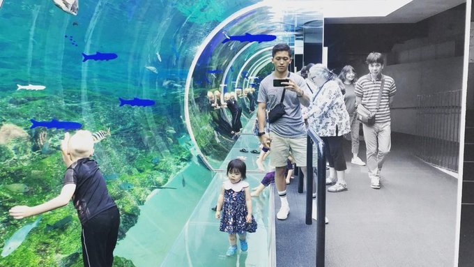 Visit these 11 aquariums near Tokyo on your next Japan trip! - Klook Travel  Blog