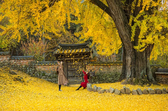 2022年韩国秋季预测：说服你来韩国体验秋季的17个景点- Klook客路博客