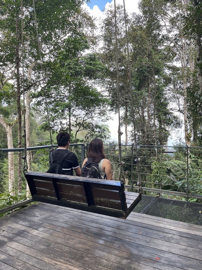 Penang hill the habitat