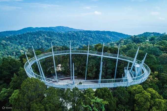penang hill curtis tree walk