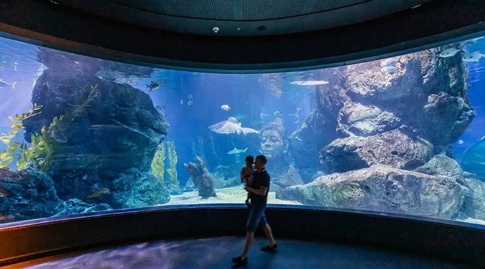 バンコクに水族館ってあるの？シーライフバンコクオーシャンワールドの